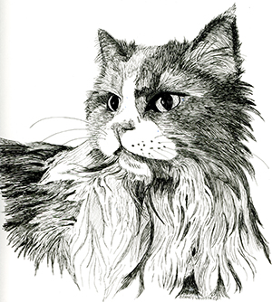 Cat Pen Drawing by Brandy Woldstad